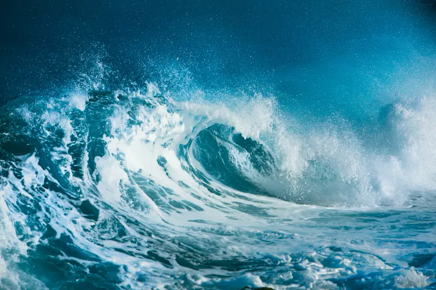 ONCourse Global wave